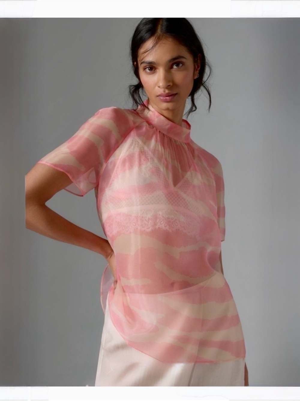 Brand Name Daniel Rainn Sheer Short-Sleeve Blouse